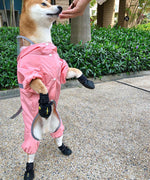 Shiba inu dog raincoat