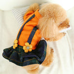 Autumn and winter small dog cat skirt