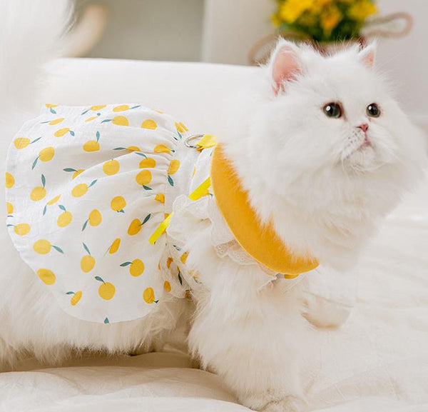 Cat skirt