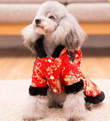 Festive warm clothes for dogs and cats