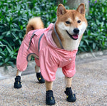 Shiba inu dog raincoat