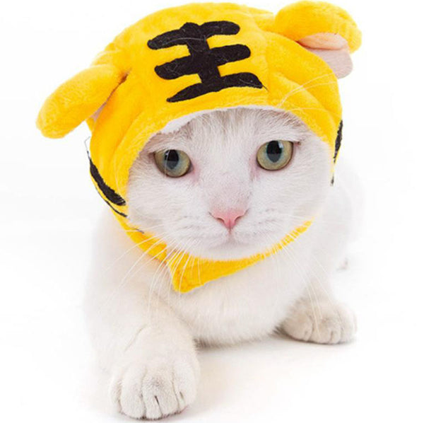 Cat headgear