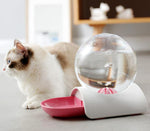 Pet bubble ball drinker