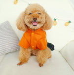 Autumn and winter small dog cat skirt