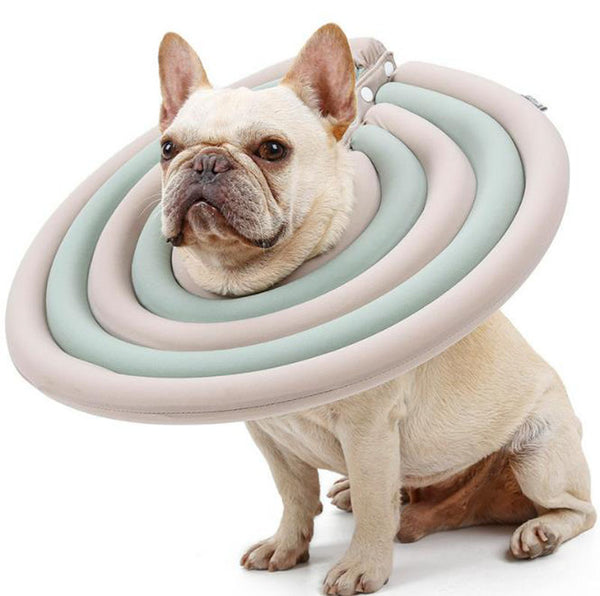 Large, medium and small lightweight pet bite-proof collar