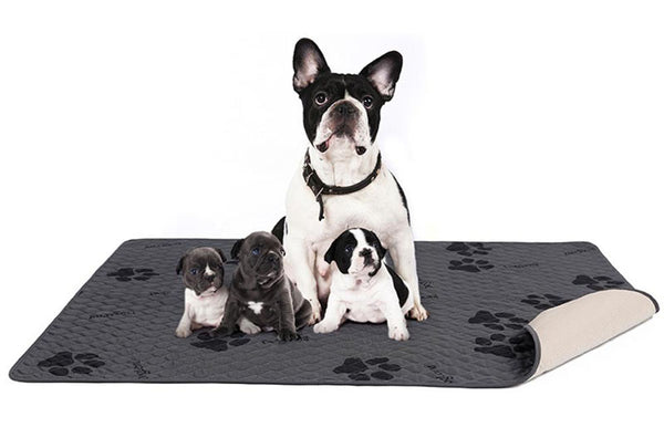 Extra large washable environmental protection pet mat