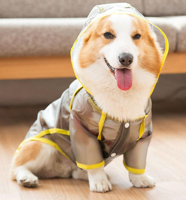 Corgi raincoat protects belly puppies special waterproof clothes