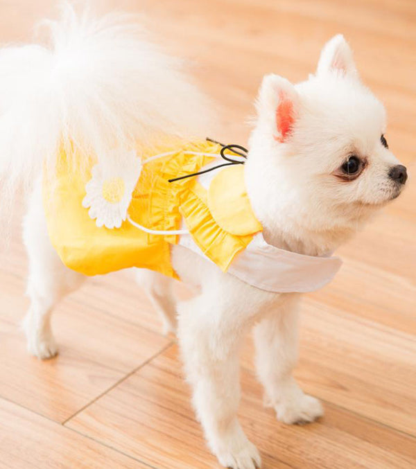 nouveau printemps et été mince jupe de gilet de chiot et de chat