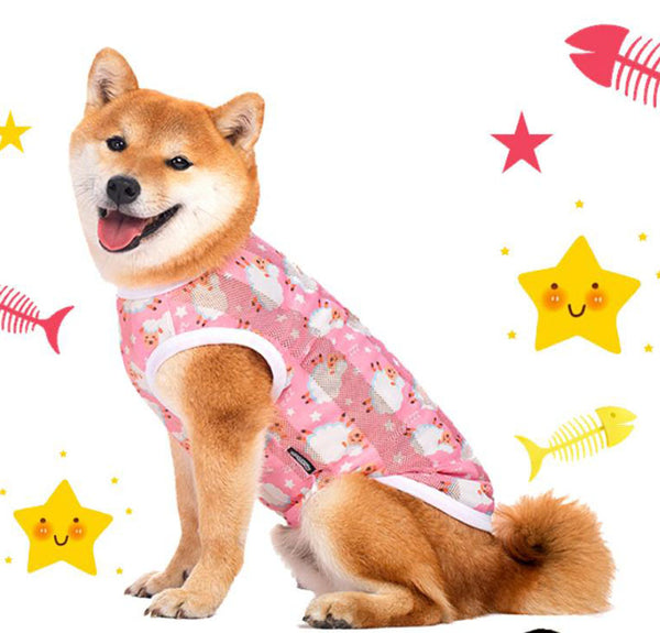 Vêtements pour chiens moyens et grands, printemps et automne, chemise d'été pour animaux de compagnie Labrador Shiba