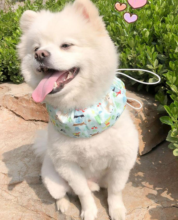 Pet dog cooling scarf cooling jacket