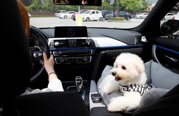 Pet car nest rear and front dog safety seat