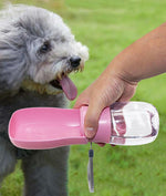 Folding pet water bottle