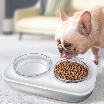 Oblique mouth double bowl to protect cervical spine pet food bowl and drinking bowl