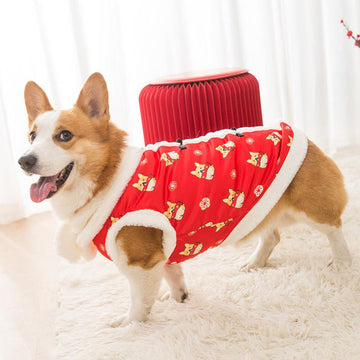 New Year's winter warm clothing for Corgi dogs in autumn and winter