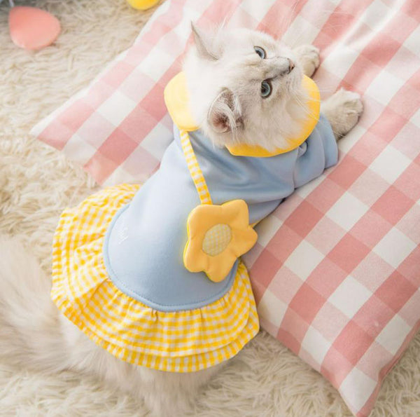 Cat autumn and winter clothes