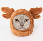 Cat headgear