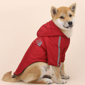 Autumn and winter dog clothing plus velvet padded jacket two-legged hooded raincoat reflective stripe cotton coat