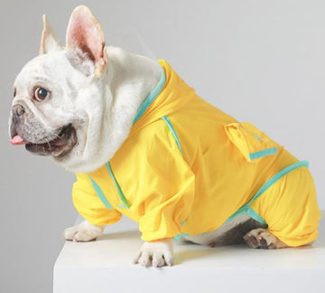 Bull dog teddy bear all-inclusive raincoat rainy dog walking dog small and medium-sized dog four-legged raincoat clothes