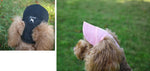 Outdoor outing travel dog cat cap baseball cap