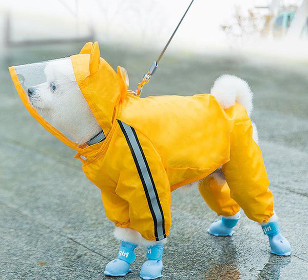 Large medium small Four legged waterproof dog clothing