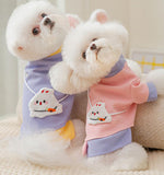 Autumn and winter small and medium-sized dog thin fleece sweater two feet cute wind warm pet dog clothes