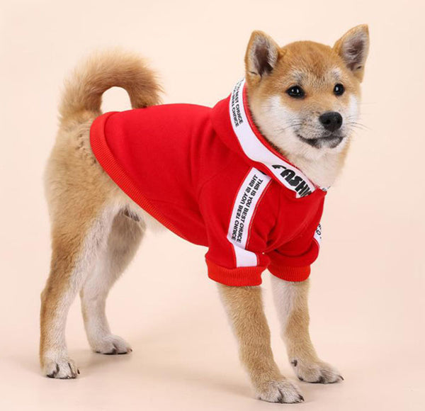 Pet autumn and winter plus velvet thickened two hooded sweater