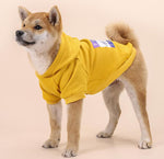 Dog's feet plus velvet warm personality trend hooded sweater