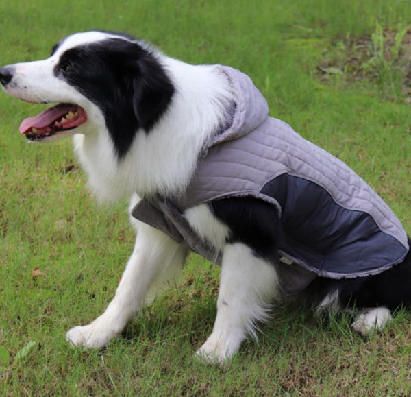 Gorra desmontable ropa para mascotas de otoño e invierno