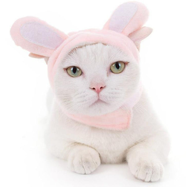 Cat headgear