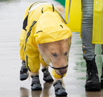 Grand moyen petit Vêtements imperméables pour chien à quatre pattes 