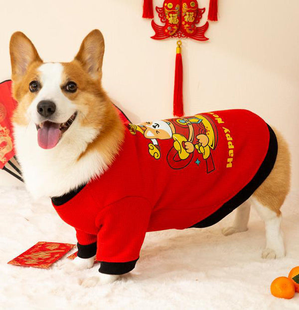 Autumn and winter corgi dog sweater wearing scarf suit Chinese New Year festive New Year pet clothes