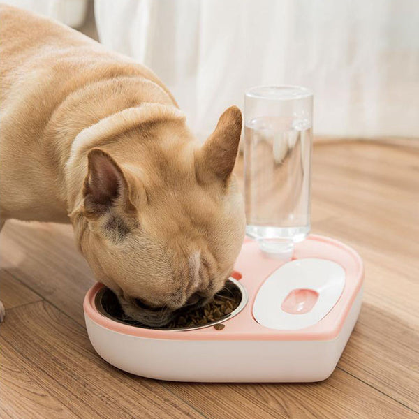 自動飲む二重ボールペットボウルが大好きです