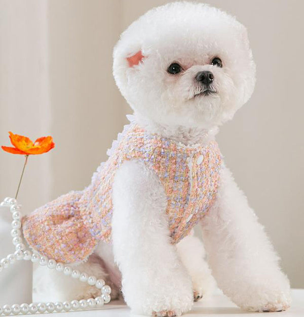 Autumn and winter little dog little fragrant princess dress