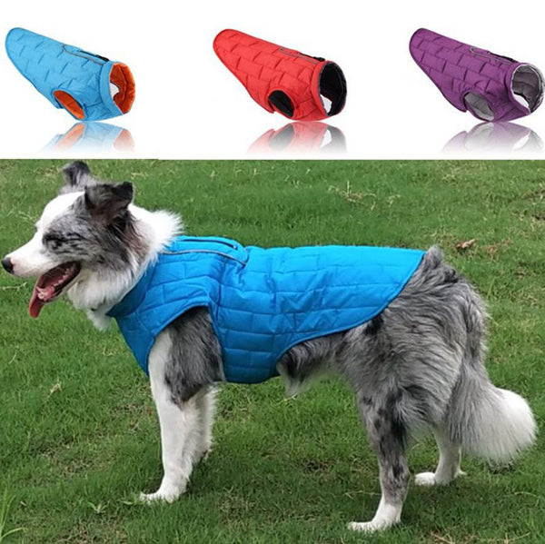 Autumn and winter pet waterproof clothes two-color plaid dog padded winter jacket