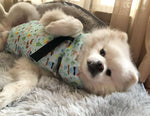 Pet dog cooling scarf cooling jacket