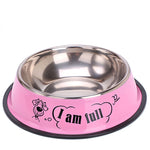 Painted stainless steel pet single bowl