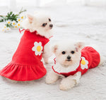 Robe d'automne et d'hiver de nouveau style pour les petits chiens