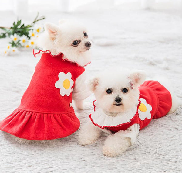 Robe d'automne et d'hiver de nouveau style pour les petits chiens