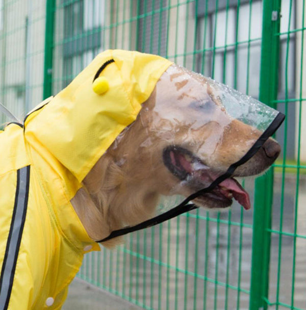 Grand moyen petit Vêtements imperméables pour chien à quatre pattes 