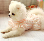 Pet dog cat spring and summer new skirt