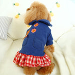 Autumn and winter small dog cat skirt