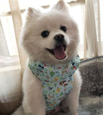 Pet dog cooling scarf cooling jacket