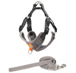 Reflective breathable leash for pet chest harness