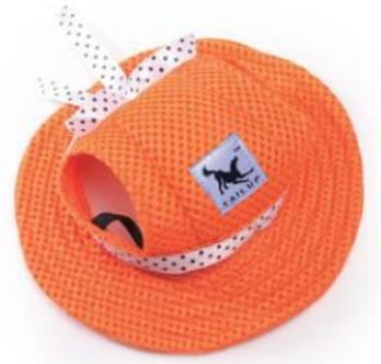 Mesh breathable sun hat cat and dog top hat princess hat