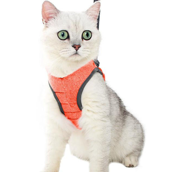 Cat chest harness traction rope