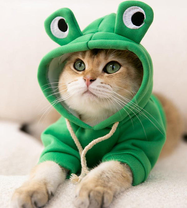 Autumn and winter hooded sweater funny cute cat feet pet clothes