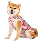 Vêtements pour chiens moyens et grands, printemps et automne, chemise d'été pour animaux de compagnie Labrador Shiba