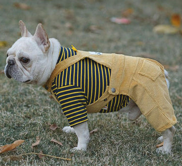 Autumn and winter cotton stretch corduroy four-legged overalls pet clothes