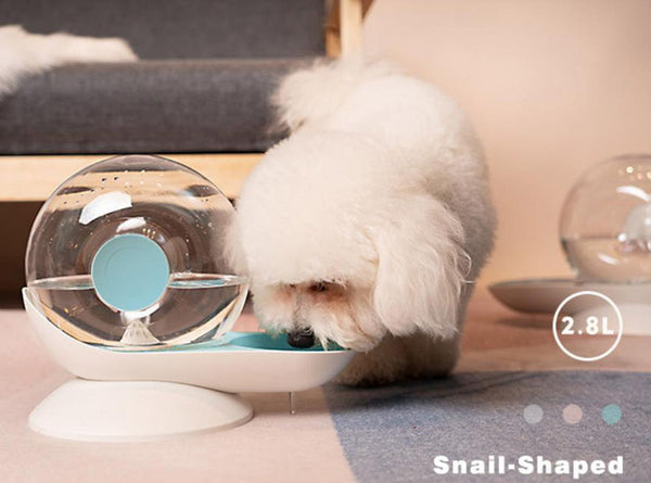 Pet automatic snail drinker feeder