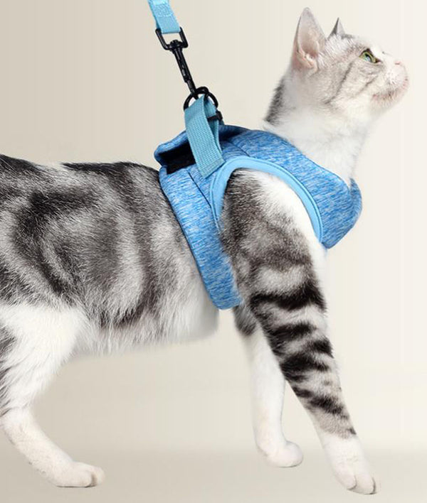 Cat chest harness traction rope